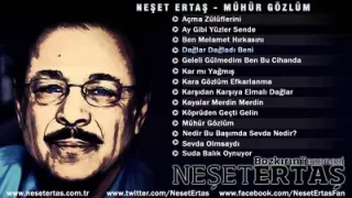 Neşet Ertaş Dağlar Dağladı Beni