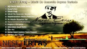 Neşet Ertaş Kara Gözlüm Efkarlanma Albüm Kapağı