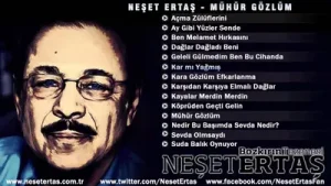 Neşet Ertaş Karmı Yağmış Albüm Kapağı