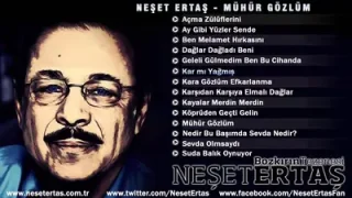 Neşet Ertaş Karmı Yağmış