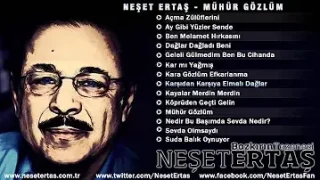 Neşet Ertaş Karşıdan Karşıya Elmalı Dağlar
