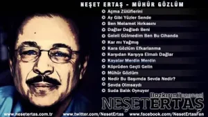 Neşet Ertaş Kayalar Merdin Merdin Albüm Kapağı