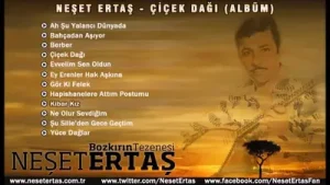 Neşet Ertaş Kibar Kız Albüm Kapağı