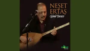 Neşet Ertaş Kız Pınar Başında Albüm Kapağı