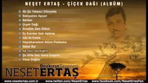 Neşet Ertaş Ne Olur Sevdiğim Albüm Kapağı