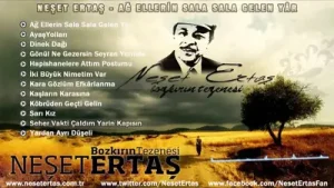 Neşet Ertaş Seher Vakti Çaldım Yarın Kapısını Albüm Kapağı