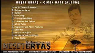 Neşet Ertaş Sille