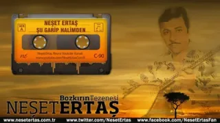 Neşet Ertaş Şu Garip Halimden
