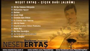 Neşet Ertaş Şu Silleden Gece Geçtim Albüm Kapağı