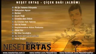Neşet Ertaş Şu Silleden Gece Geçtim