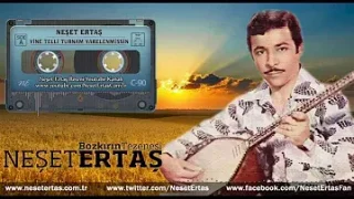 Neşet Ertaş Yine Telli Turnam Yarelenmişsin