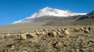 Neşet Ertaş Yinemi Gurbete Düştü Yolumuz