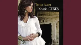 Nesrin Güneş Mercanlar