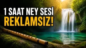 Ney Sesi Albüm Kapağı