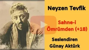 Neyzen Tevfik 18 Küfürlü Şiiri Günay Aktürk Albüm Kapağı