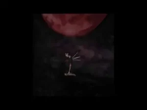 Nikotin – Gölge Albüm Kapağı