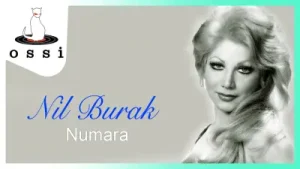 Nil Burak – Numara