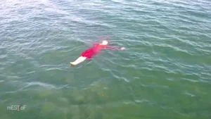 Nilüfer Açıkalın Işıl Işıl Albüm Kapağı