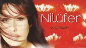 Nilüfer Bir Garip Yolcuyum Albüm Kapağı