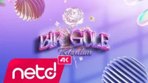Nilüfer Bir Güle Kandım