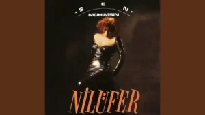 Nilüfer Böyle Ayrılık Olmaz Albüm Kapağı