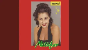 Nilüfer Dönemezsin Albüm Kapağı