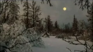 Nilüfer Her Yerde Kar Var