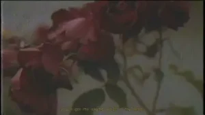 Noes Serhat Durmuş Imagine Albüm Kapağı