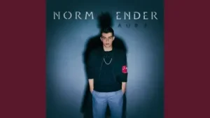 Norm Ender Avare Albüm Kapağı