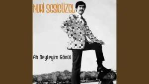 Nuri Sesigüzel Gel Gel Yarim Gel