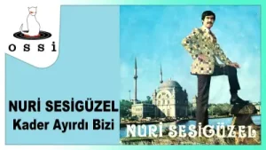 Nuri Sesigüzel Kader Ayırdı Bizi Albüm Kapağı