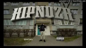 O.g. Hipnoz Albüm Kapağı
