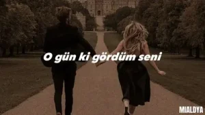 O Günkü Gordum Seni Albüm Kapağı