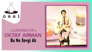 Oktay Arman – Bu Ne Sevgi Ah Albüm Kapağı