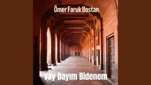 Ömer Faruk Bostan Vay Dayım Bidenem Albüm Kapağı