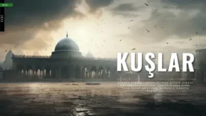 Ömer Karaoğlu Kuşlar Albüm Kapağı