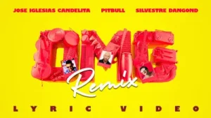 Omg Remix Albüm Kapağı