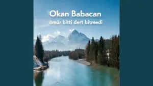 Ömür Bitti Dert Bitmedi Albüm Kapağı