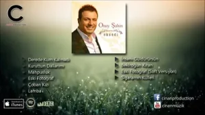 Onay Şahin Sigaramın Külleri Albüm Kapağı