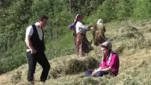 Onay Şahin Tonya’nın Ağaçları Albüm Kapağı