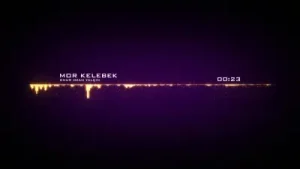 Onur Ozan Yalçın Mor Kelebek Albüm Kapağı