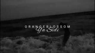 Orange Blossom Ya Sidi Bayim Lyrics Türkçe Çeviri