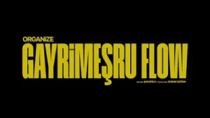 Organize Gayrimeşru Flow Albüm Kapağı