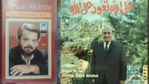 Orhan Akdeniz Fındık Kabuğuna Sığmaz Albüm Kapağı