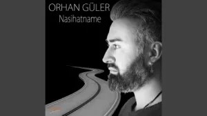 Orhan Güler Taş Düşsün Albüm Kapağı