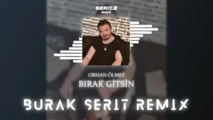 Orhan Ölmez – Bırak Gitsin (Remix) Albüm Kapağı