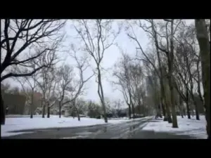 Orhan Ölmez Yani Olmuyor Official Video Klip Albüm Kapağı