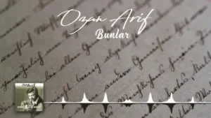 Ozan Arif Bunlar Albüm Kapağı