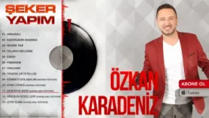 Özkan Karadeniz Aksunun Akışı Albüm Kapağı
