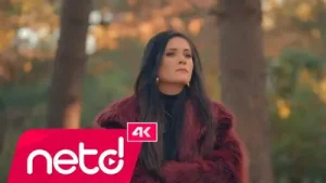 Özlem Bulut Penceremdeki Serçe